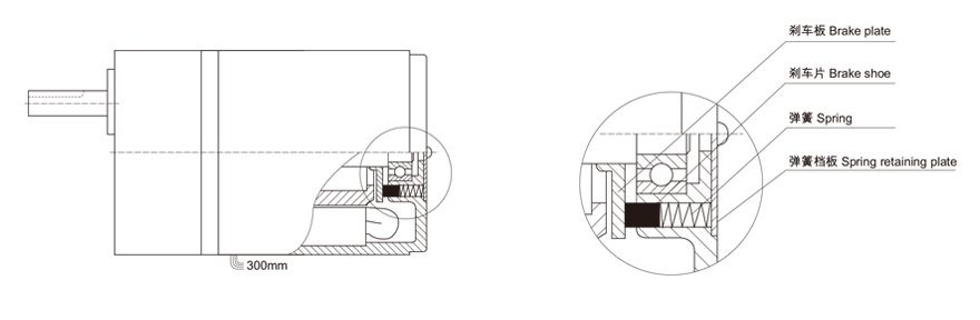 4w~30w附阻尼齒輪減速電機阻尼結構圖